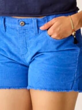 Carve Designs Oahu 4" Mid Rise Royal Blue Shorts